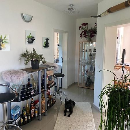 Luxus Fewo - Spannagl Apartment Pocking  Luaran gambar
